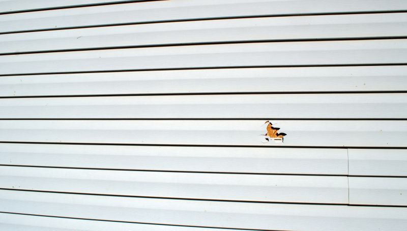 Professional Vinyl Siding Repair